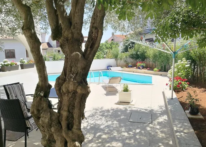 Bozena 3 브르사르